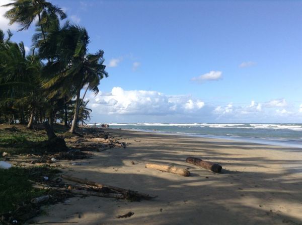 Land Lot for Sale directly on the beach. | Real Estate in Dominican Republic