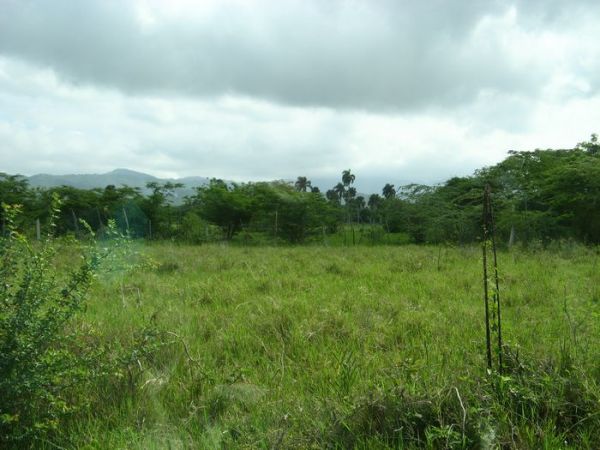 Idealer Bauernhof für touristische Projekte mit Blick auf das Meer. 0. KOSTBARE ANSICHT !!! | Immobilien in der Dominikanischen Republik