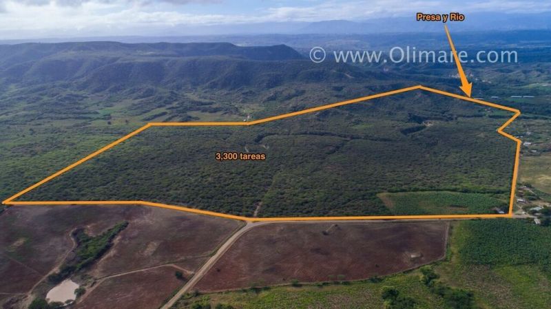 3,900-task farm in Mao that borders the Amina river with abundant water. | Real Estate in Dominican Republic