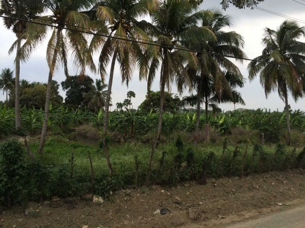 Ferme dans l’une des terres les plus productives du Cibao. | Immobilier en République Dominicaine