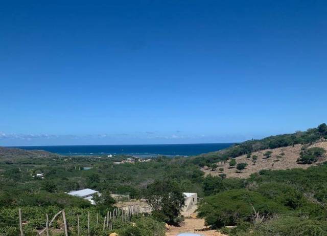 Farm in Montecristi, near Playa Buen Hombre. | Real Estate in Dominican Republic