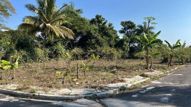 Terrains à vendre Licey al Medio | Immobilier en République Dominicaine